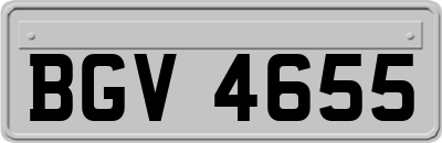 BGV4655