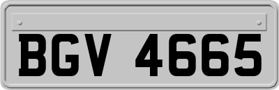 BGV4665