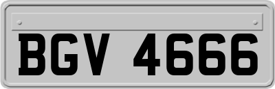 BGV4666