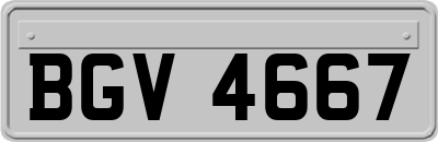BGV4667