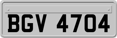 BGV4704
