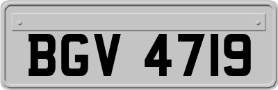 BGV4719