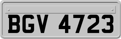 BGV4723