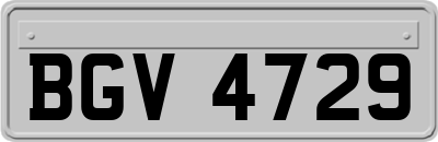 BGV4729