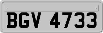 BGV4733