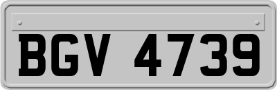 BGV4739