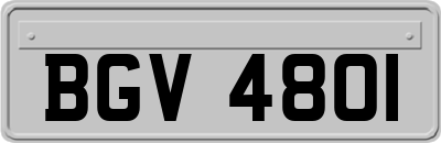 BGV4801