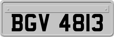 BGV4813