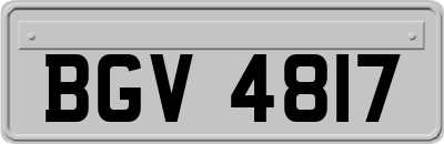 BGV4817