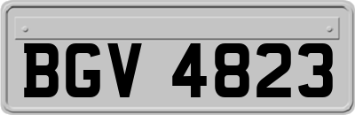 BGV4823