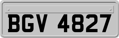 BGV4827