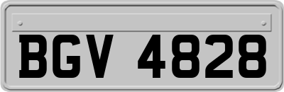 BGV4828