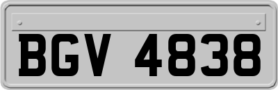 BGV4838