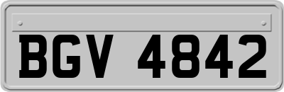 BGV4842