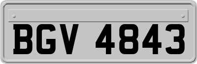 BGV4843