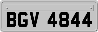 BGV4844