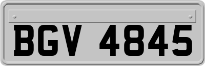 BGV4845