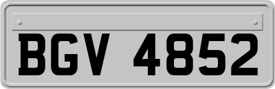 BGV4852