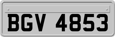 BGV4853