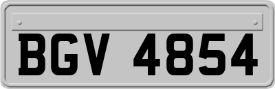 BGV4854