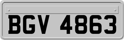 BGV4863