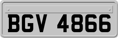 BGV4866