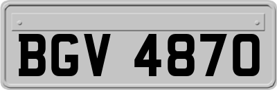 BGV4870