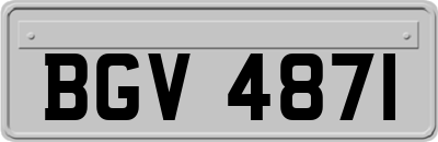 BGV4871