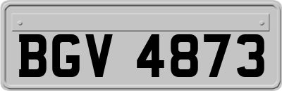 BGV4873