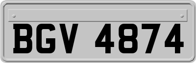 BGV4874