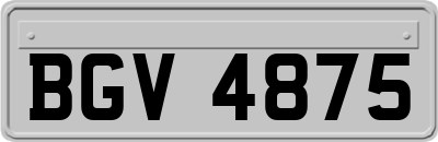 BGV4875