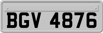 BGV4876
