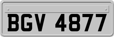 BGV4877