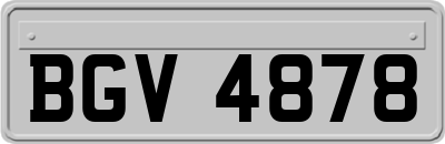 BGV4878