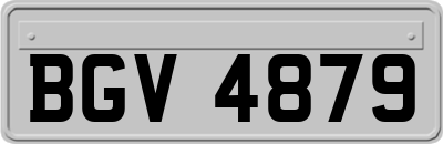 BGV4879