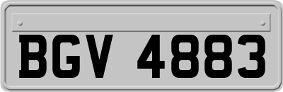 BGV4883