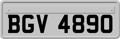BGV4890