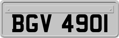BGV4901