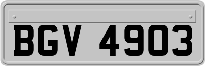 BGV4903