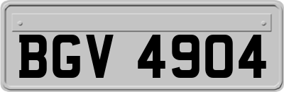 BGV4904