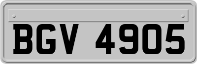 BGV4905