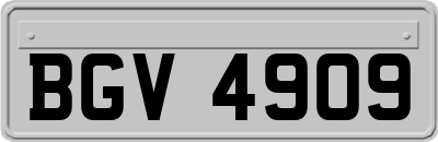 BGV4909