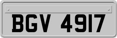 BGV4917