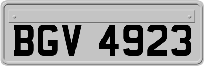 BGV4923