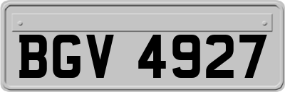 BGV4927