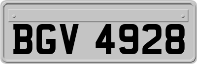 BGV4928