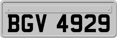 BGV4929
