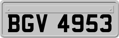 BGV4953