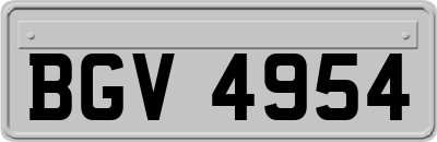 BGV4954