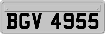 BGV4955
